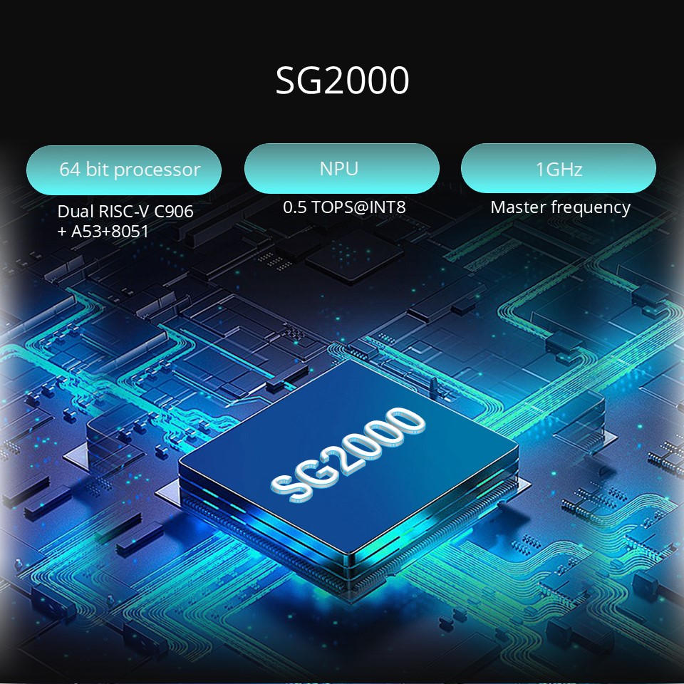 SG2000 Даму тақтасы, RISC-V906 ARM, Linux
